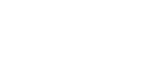 vwo logo