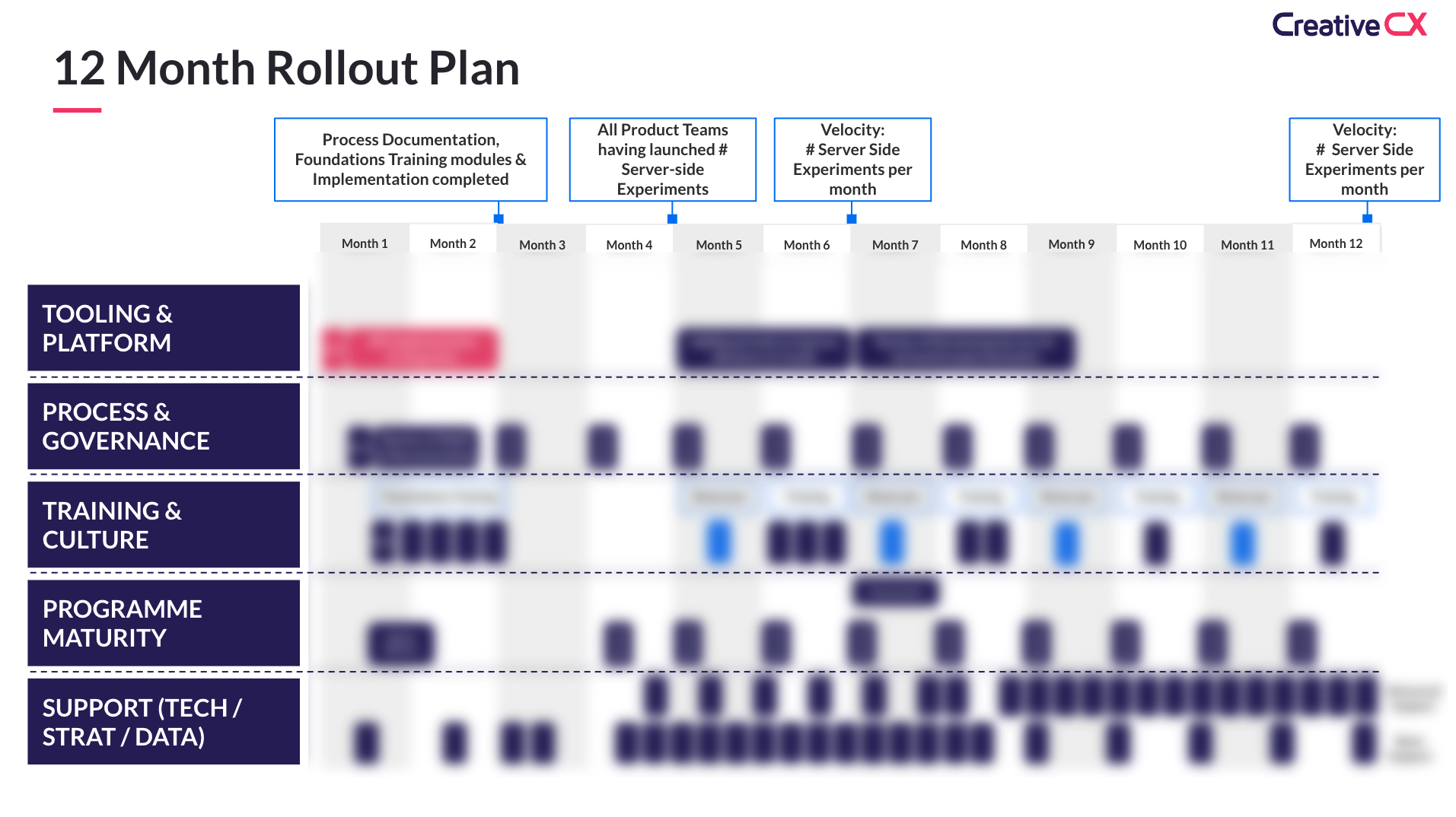 CoE Rollout plan