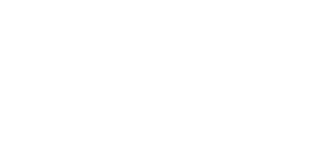 Insure and go logo